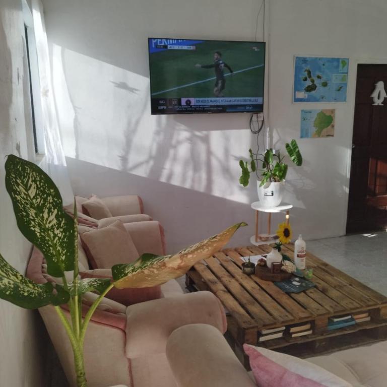 Chivo Gringo's House - Apartamento de 2 dormitorios - 1