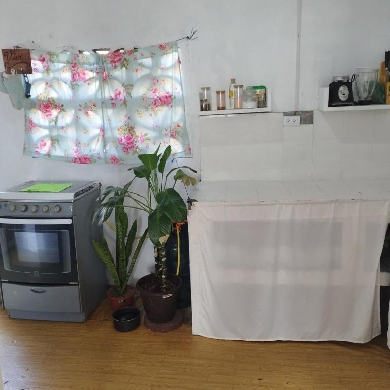 home of plants - Apartamento de 2 dormitorios - 2