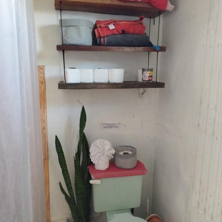 home of plants - Apartamento de 2 dormitorios - 5