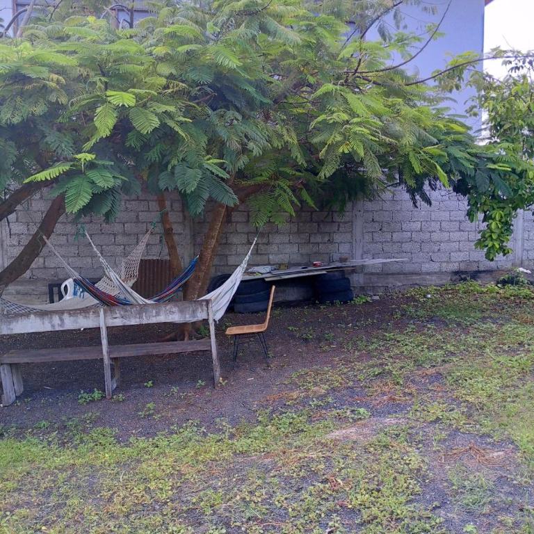 home of plants - Apartamento de 2 dormitorios - 10