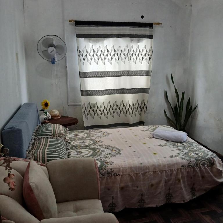 home of plants - Apartamento de 2 dormitorios - 12
