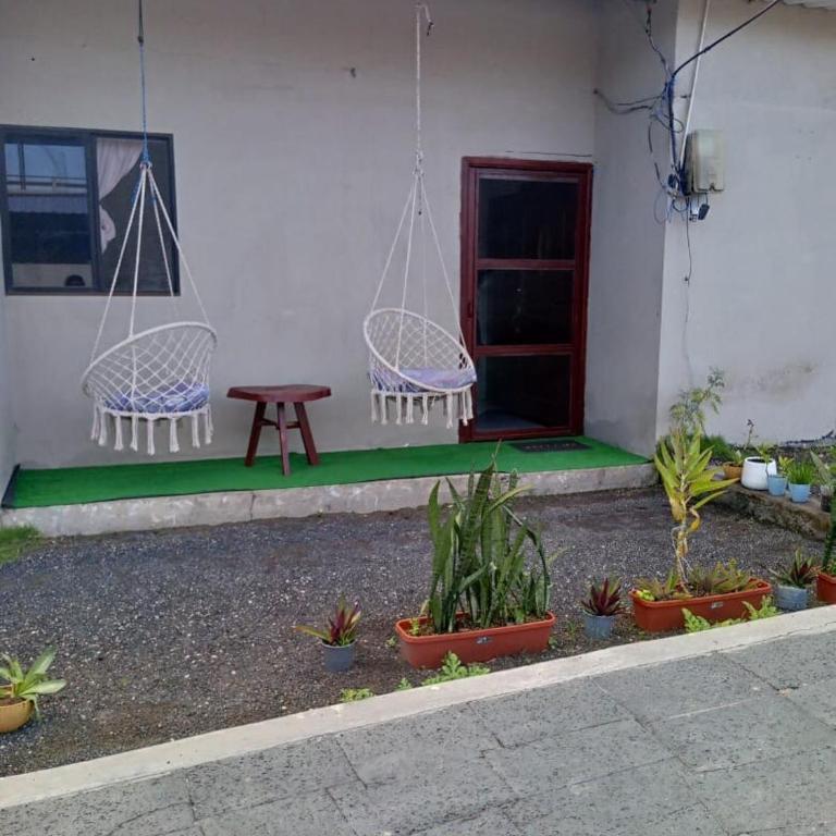 Chivo Gringo's House - Apartamento de 2 dormitorios - 6