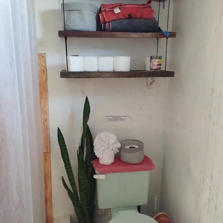 Chivo Gringo's House - Apartamento de 2 dormitorios - 9