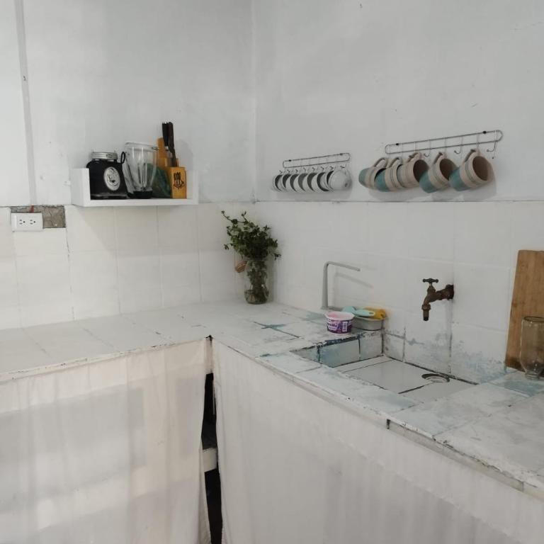 Chivo Gringo's House - Apartamento de 2 dormitorios - 13