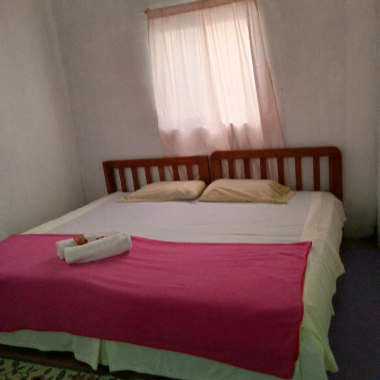 home of plants - Apartamento de 2 dormitorios - 11