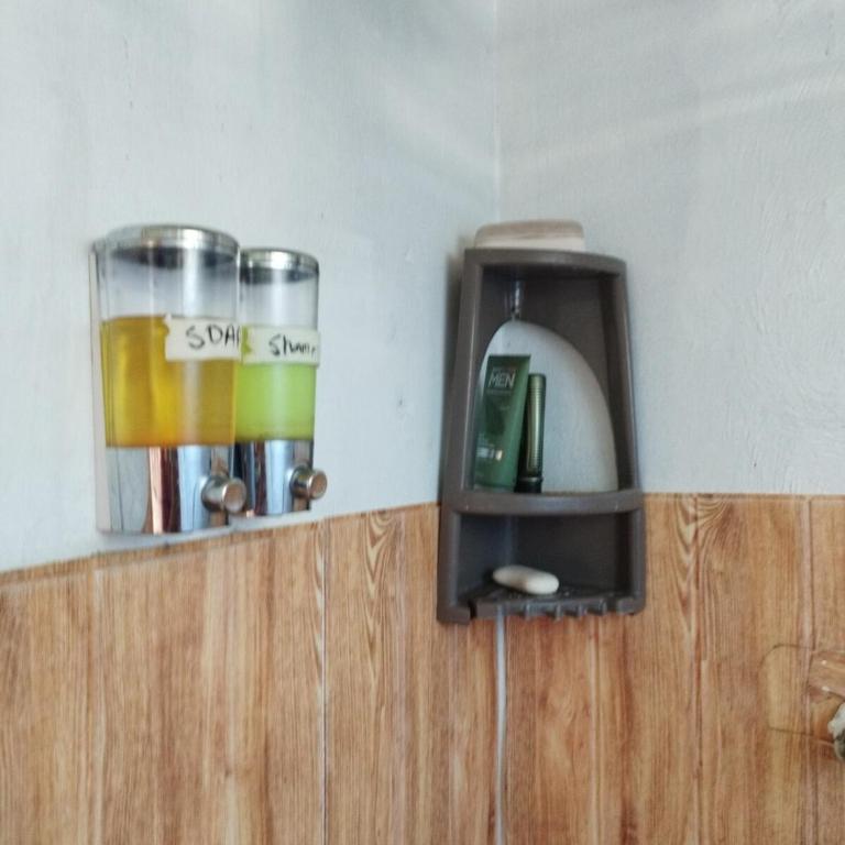 home of plants - Apartamento de 2 dormitorios - 18