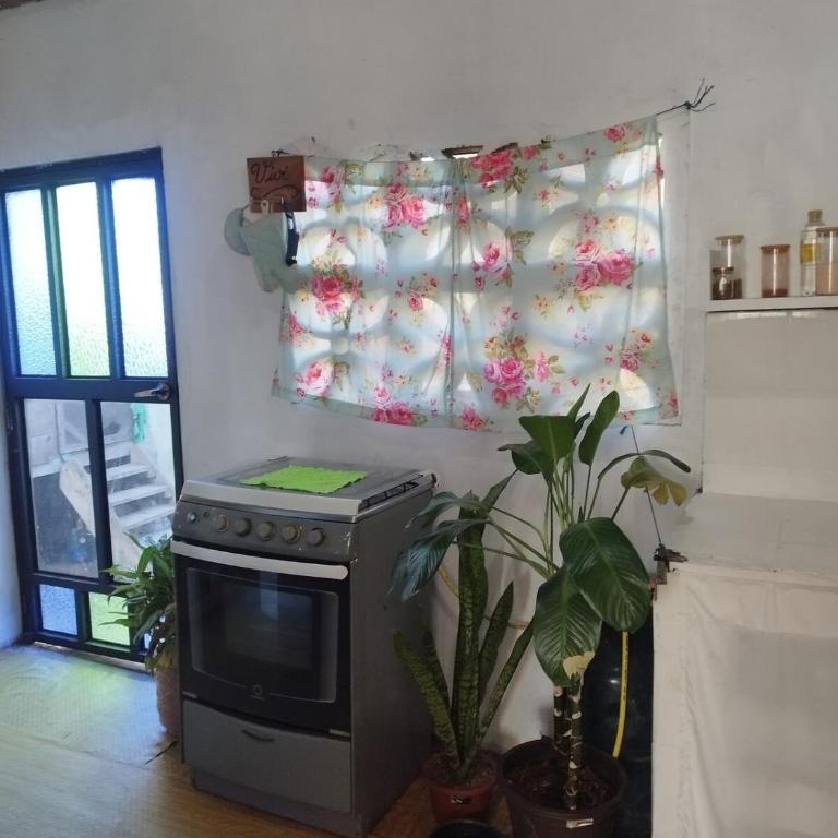 home of plants - Apartamento de 2 dormitorios - 23