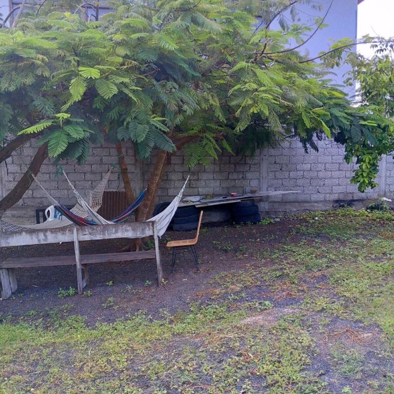 home of plants - Apartamento de 2 dormitorios - 27