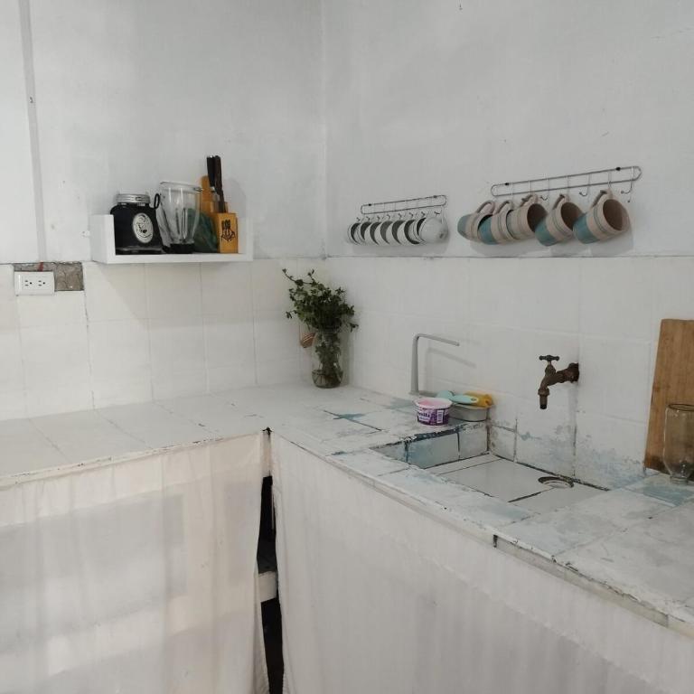 home of plants - Apartamento de 2 dormitorios - 29