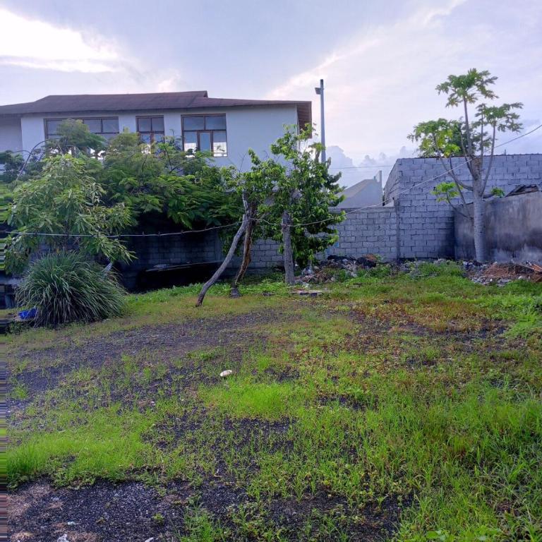 home of plants - Apartamento de 2 dormitorios - 34