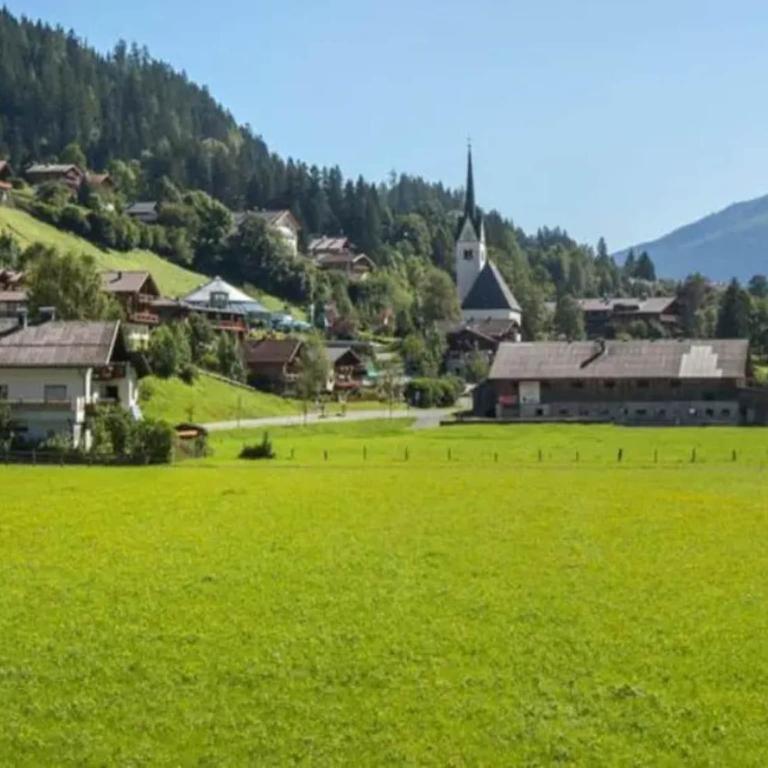 Detached Alpine Chalet with Sauna - Casa de 4 dormitorios - 21