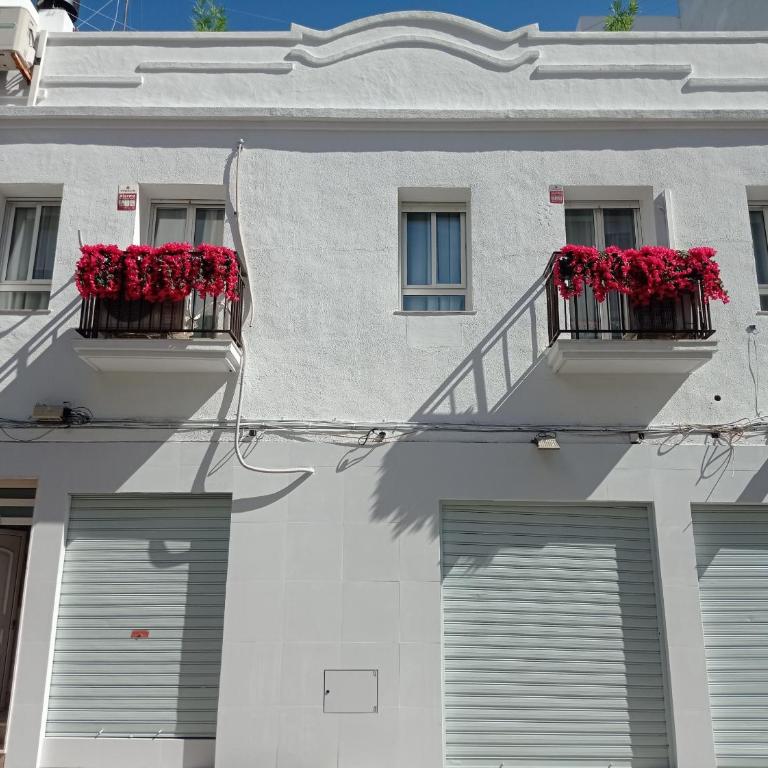 Casa La Marina Terraza soleada de 100 m Recién Reformada - Maisonette - 31