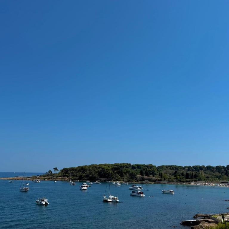 Cap d'Antibes vue plage de la GAROUPE - 8 couchages - Jardin et terrasse - Villa - 39