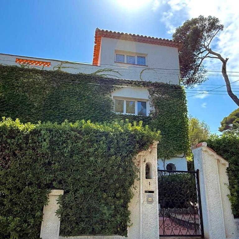 Cap d'Antibes vue plage de la GAROUPE - 8 couchages - Jardin et terrasse - Villa - 42