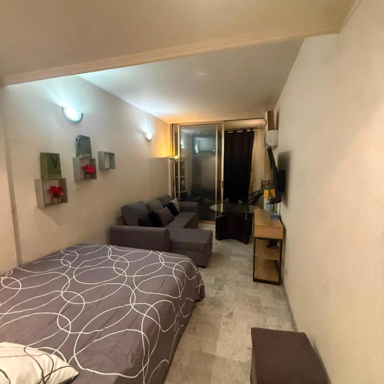 Grand studio climatisé avec place privative - Appartement 1 Chambre - 2