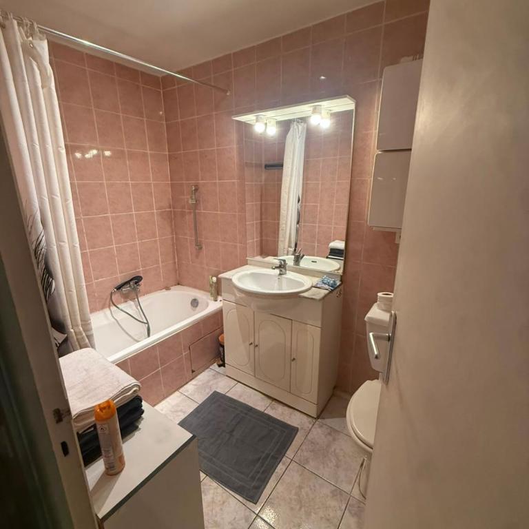 Grand studio climatisé avec place privative - Appartement 1 Chambre - 3