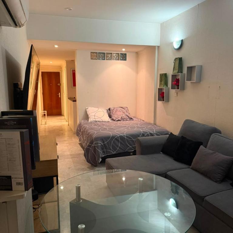 Grand studio climatisé avec place privative - Appartement 1 Chambre - 4