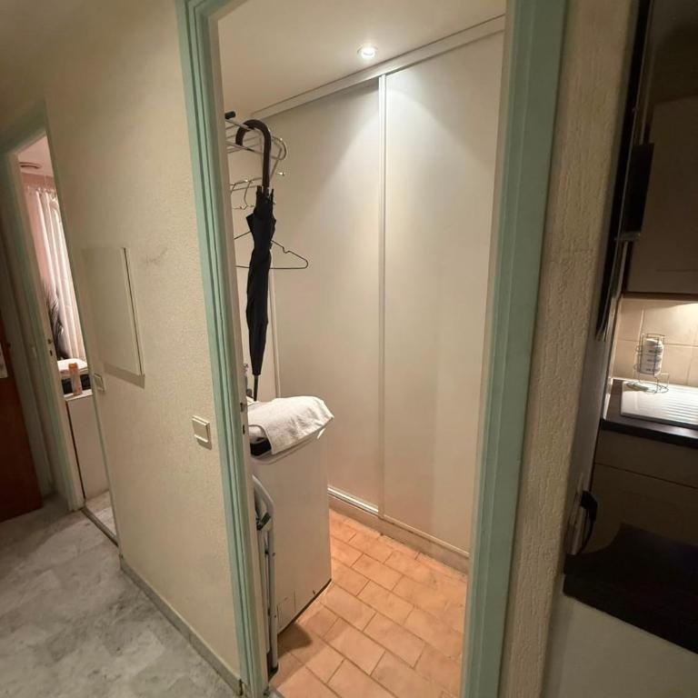 Grand studio climatisé avec place privative - Appartement 1 Chambre - 5