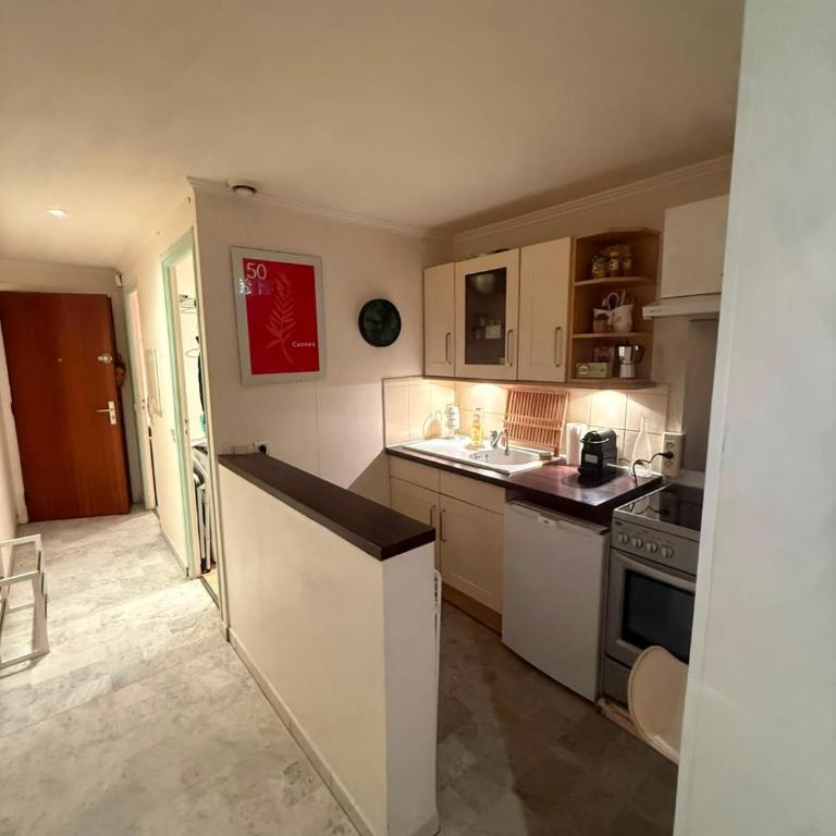 Grand studio climatisé avec place privative - Appartement 1 Chambre - 7