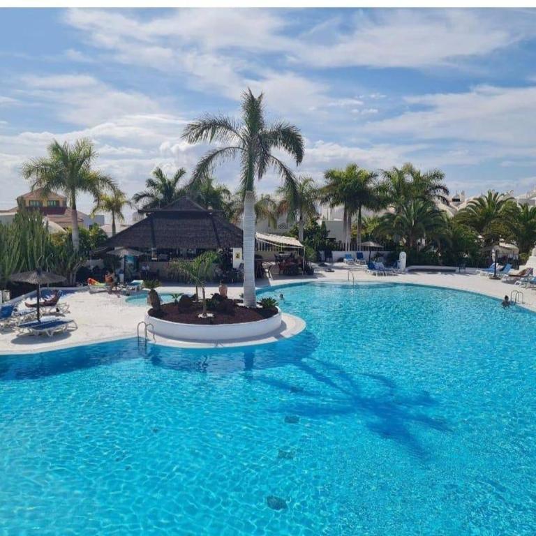 Tenerife Paradise With Heated Pool - Apartamento - 10