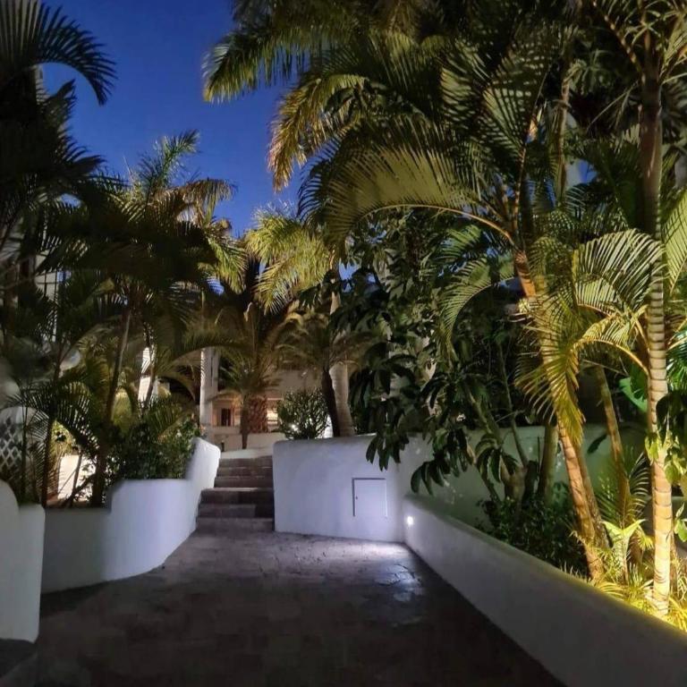 Tenerife Paradise With Heated Pool - Apartamento - 5