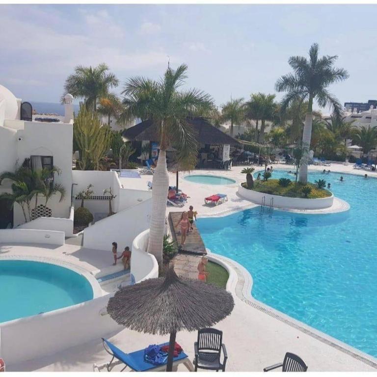 Tenerife Paradise With Heated Pool - Apartamento - 12