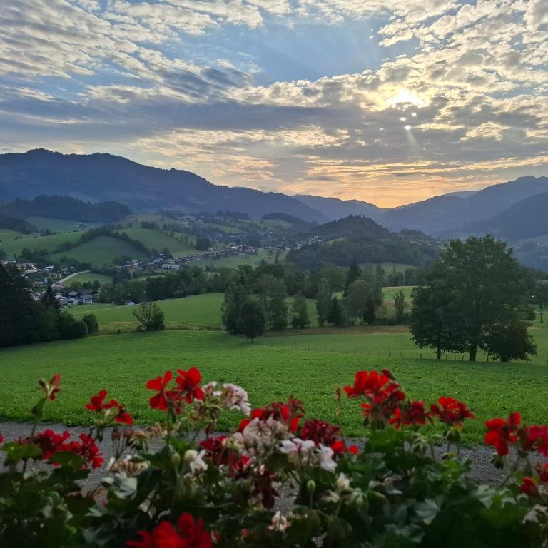 Knollgut Ferienwohnung Buchberg - Deluxe-Apartment mit 2 Schlafzimmern und Gartenblick - 1