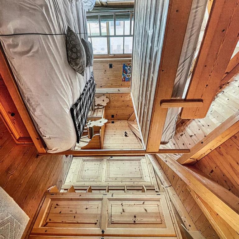 Home Ely Dolomiti - Appartamento - 3