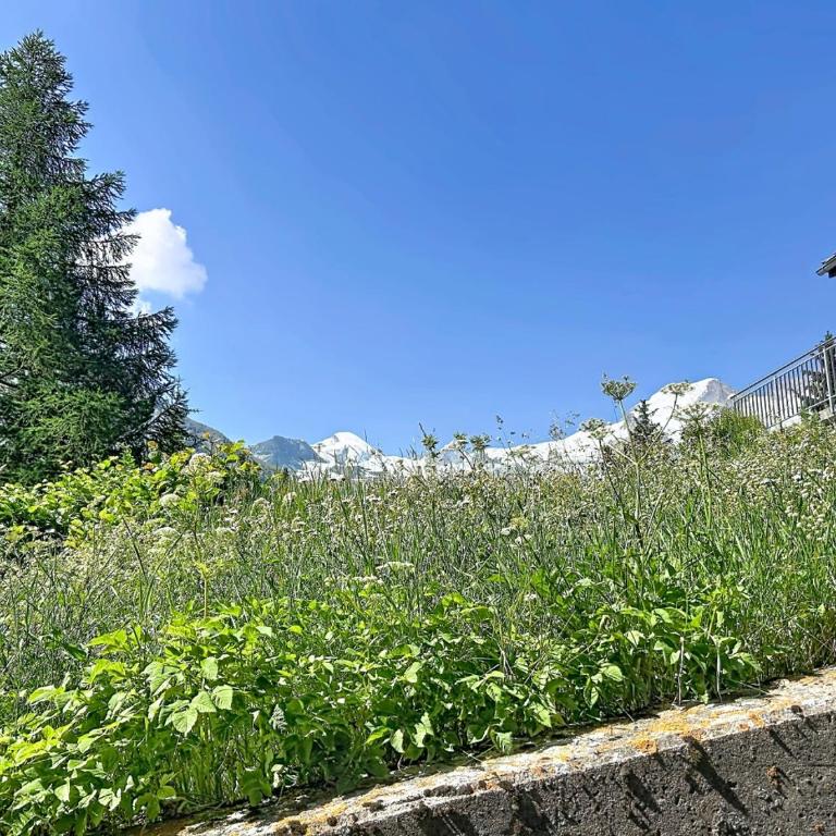 Balmi Mountain Apartment - 2BR - Sleeps 6 - Apartment mit 2 Schlafzimmern - 37