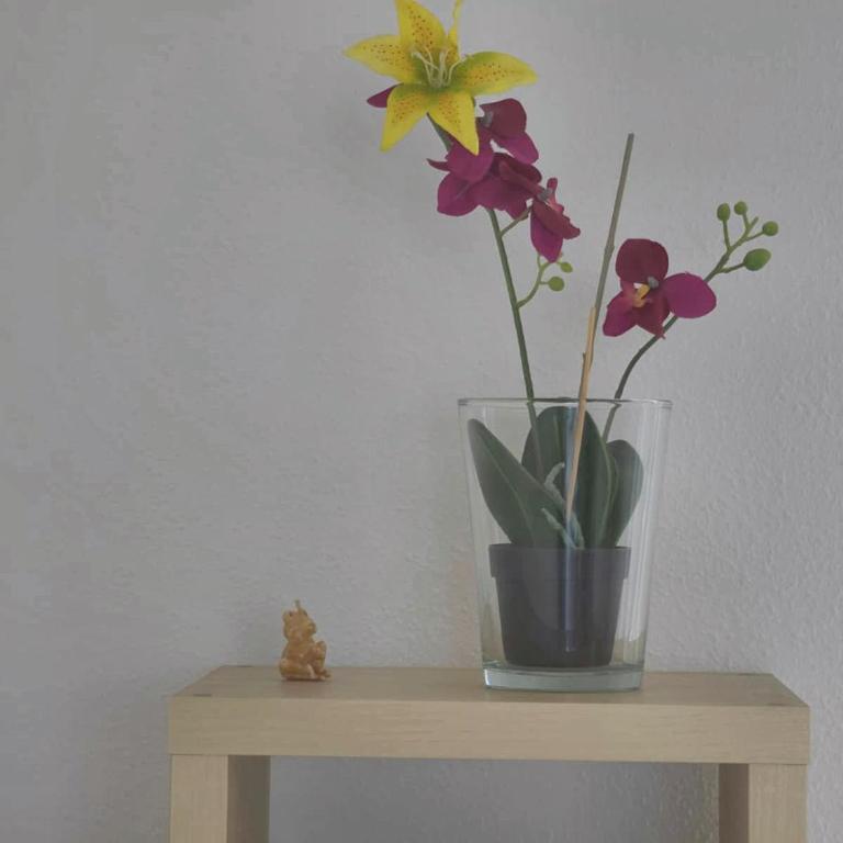 BUENAVISTA - 2-Bedroom for 4 with Sea-View Terrace and AC - Free Street Parking - Apartamento - 3