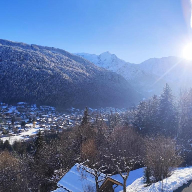 Le Montagnard - Appartamento - 14