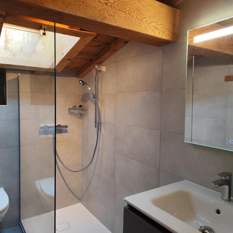 Le Montagnard - Appartamento - 18