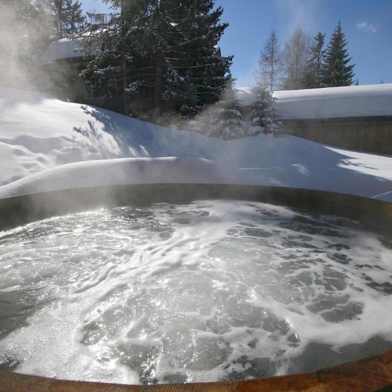 Cabin Sleeps 13 with Hot Tub - Maison de Vacances - 17