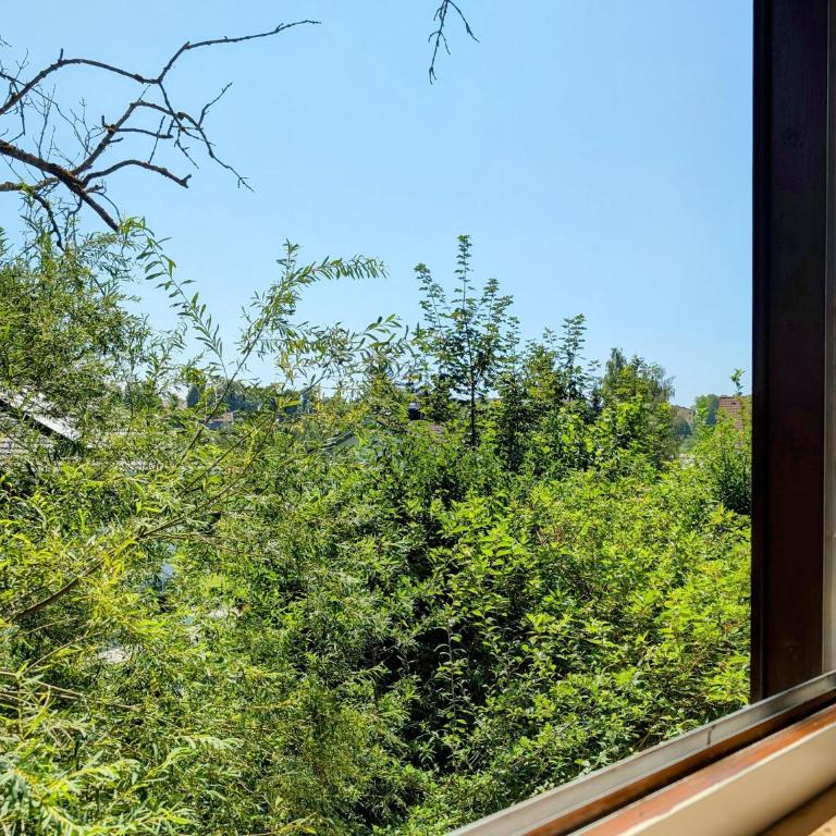 HabeDere Apartments Allgäu - Apartment mit 1 Schlafzimmer und Aussicht - 7