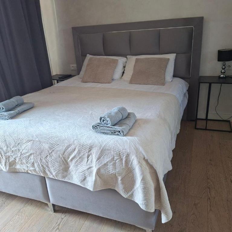 Belgrade Waterfront PENTHOUSE with Private Jacuzzi - Apartman sa 3 Spavaće Sobe - 9