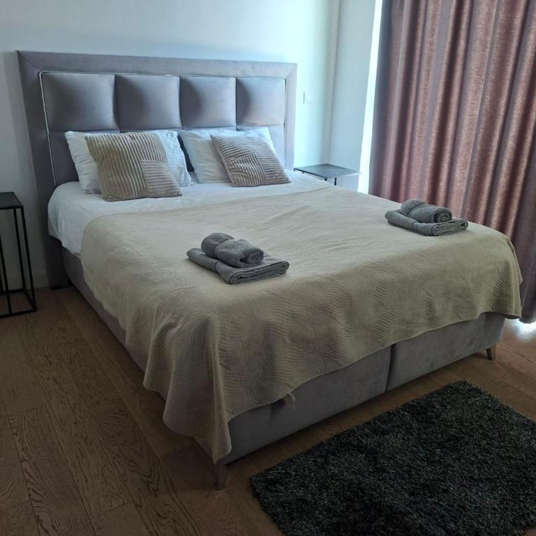 Belgrade Waterfront PENTHOUSE with Private Jacuzzi - Apartman sa 3 Spavaće Sobe - 13