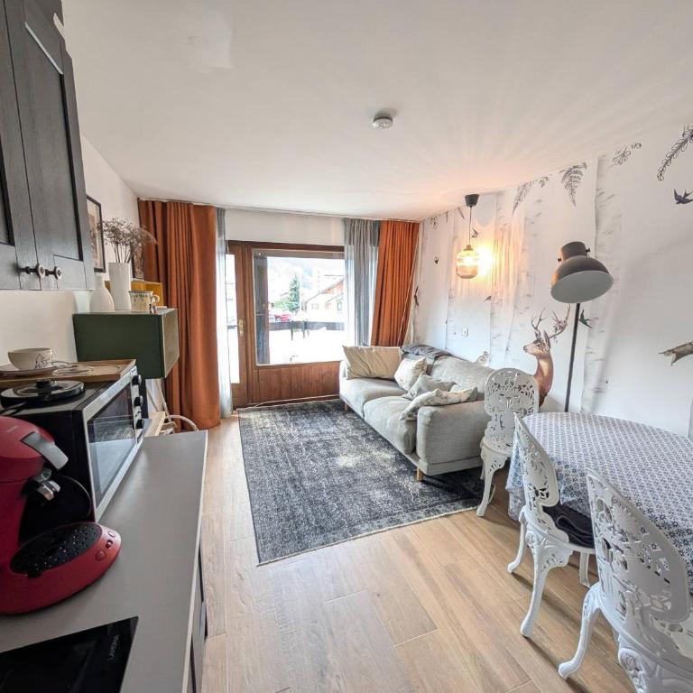 Appartement rénové, animaux, parking - 4 pers. - Appartement 1 Chambre - 2