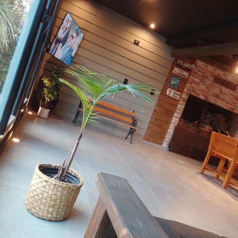 El hornero - Apartamento de 1 dormitorio - 12