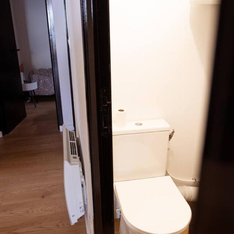 Appartement moderne et spacieux avec poêle à bois et balcon - Appartement - 35