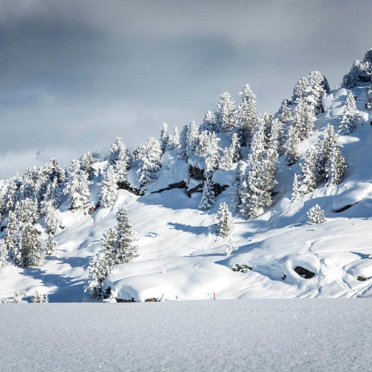 Appartement alpin 3* Courchevel 1850, 6 pers, central, proche pistes - Two-Bedroom Apartment - 12