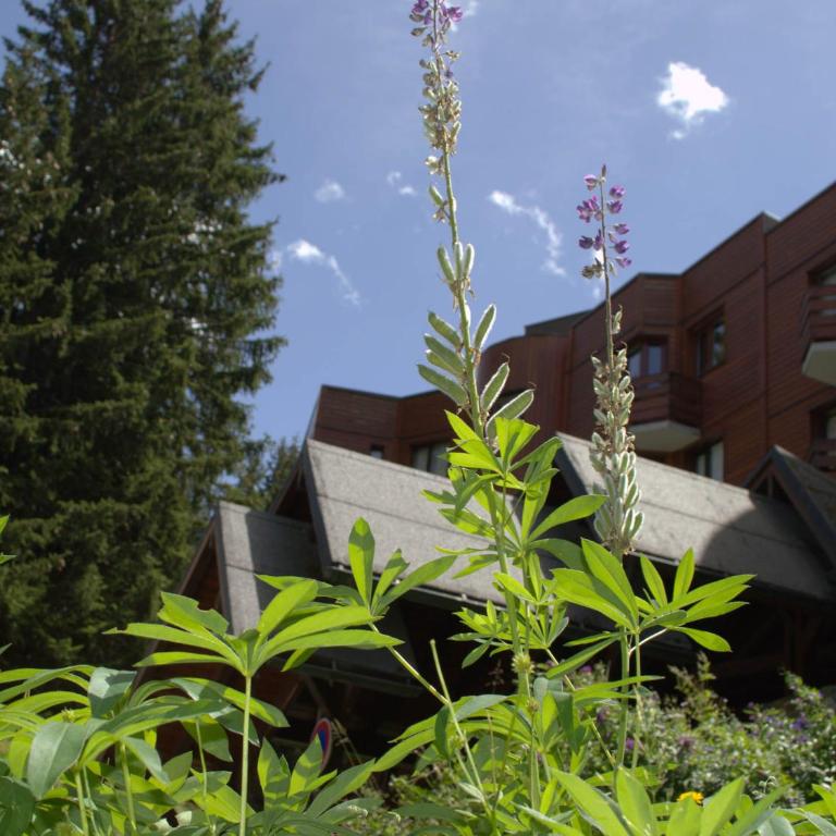 Studio rénové à Courchevel 1850, skis aux pieds, 4 pers, parking inclus - Studio - 15