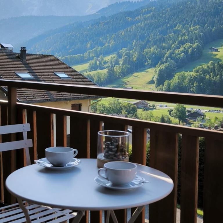 Studio lumineux 4 pers, animaux admis, parking Le Grand-Bornand - FR-1-467-75 - Appartement (4 Adultes) - 9