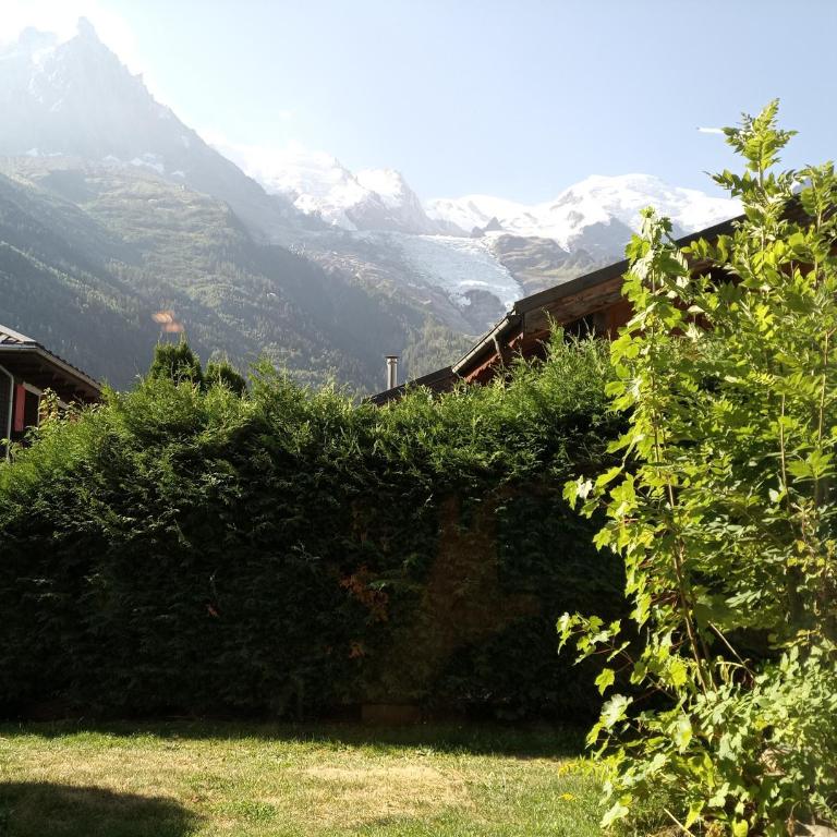 Studio Panorama MontBlanc - Appartement 1 Chambre - 1