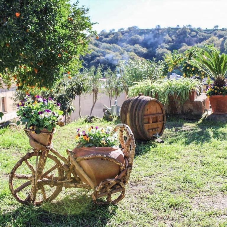 Antica Cantina Emilia - Casa con 2 Camere da Letto - 11