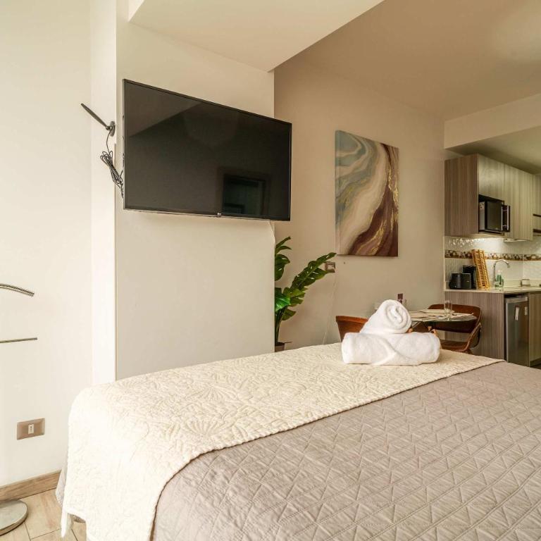 HOM I Studio Av Balmaceda I Wifi I Frente al Mall I PNB 0718 - Apartment - 10