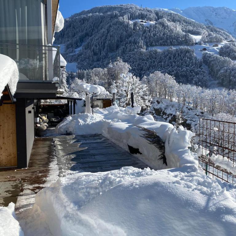 AlpVISTA - Apartment mit 1 Schlafzimmer und Dusche - 15