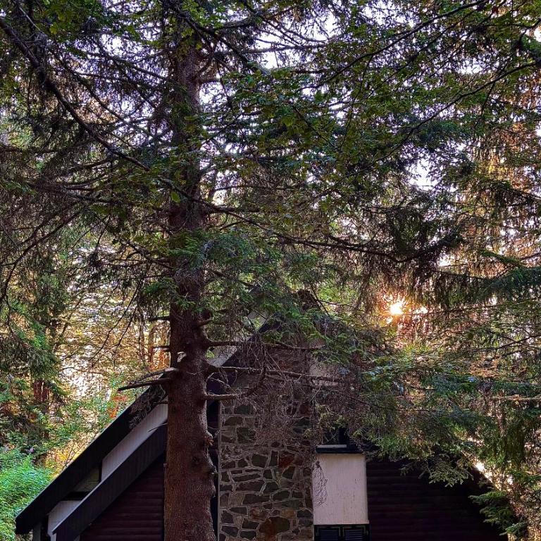VILA PAVLOVIC - Vikendica - 27