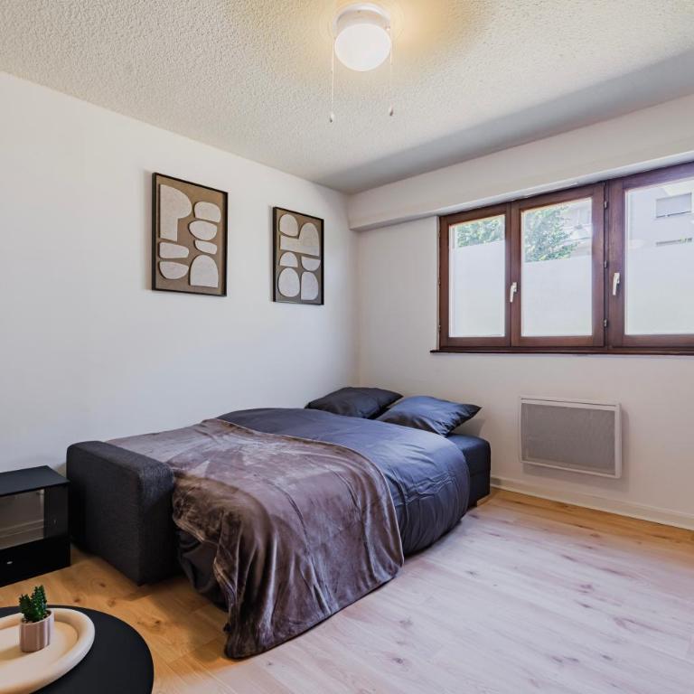 Studio Belfort - Centre Ville Strasbourg - Quartier calme - Espace vert - Appartement 1 Chambre - 17
