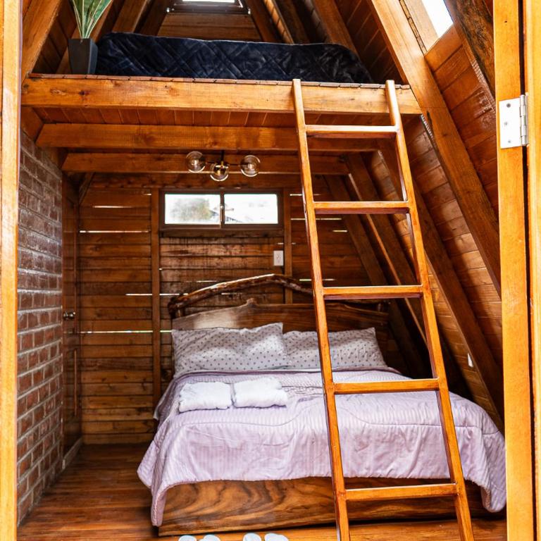 Mount House Lodge - Superior Bungalow - 5