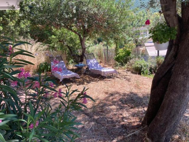 Cavalière - RdJ villa 600m plage, 2 ch 6 pers, 3 étoiles grand confort - Villa 2 Chambres - 16